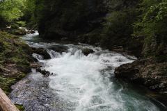 DSCN6882