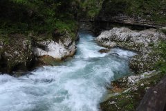 DSCN6883