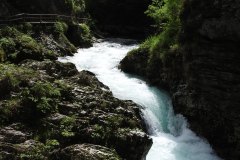DSCN6884