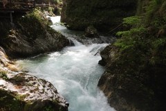 DSCN6885