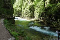 DSCN6893