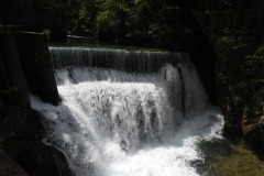 DSCN6894