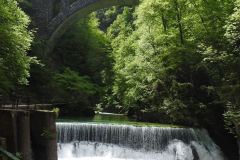 DSCN6897