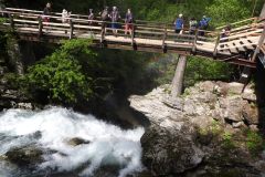 DSCN6904