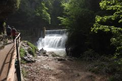 DSCN6906