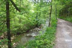 DSCN4709