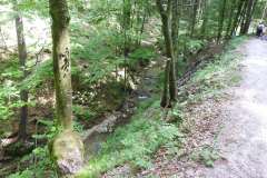 DSCN4729