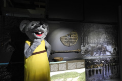 DSCN5784