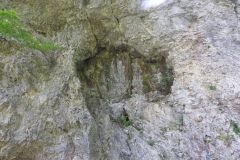 DSCN5854
