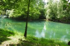 DSCN5875