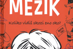 Mezik-1