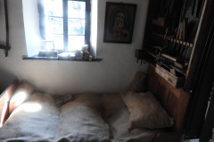 DSCN4603